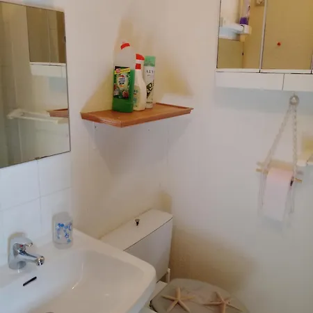 Avec Loggia Cap D Appartement